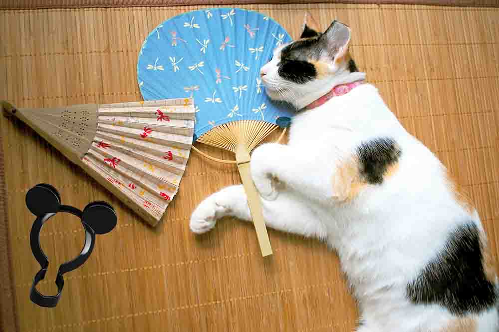 猫の熱中症対策｜東京ファン株式会社